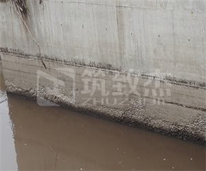 澳门原料大全1688